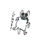 ふしぎなねこたち（個別スタンプ：4）