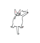 ふしぎなねこたち（個別スタンプ：8）