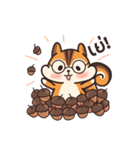 オレンジリス（個別スタンプ：6）