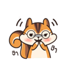 オレンジリス（個別スタンプ：13）