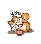 オレンジリス（個別スタンプ：14）