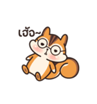 オレンジリス（個別スタンプ：16）