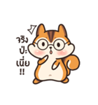 オレンジリス（個別スタンプ：21）