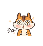 オレンジリス（個別スタンプ：22）