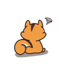 オレンジリス（個別スタンプ：40）