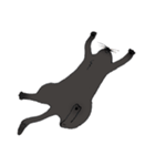 黒猫ジョナサンのスタンプ 1（個別スタンプ：7）