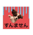 えどくん（個別スタンプ：3）