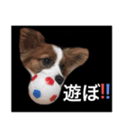 えどくん（個別スタンプ：5）