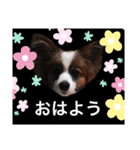 えどくん（個別スタンプ：6）
