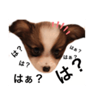 えどくん（個別スタンプ：8）