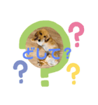 まい どっぐ2（個別スタンプ：2）