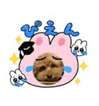 ムックとチャビー（個別スタンプ：8）