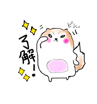 まめポメきなこ（個別スタンプ：1）