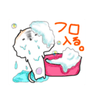 まめポメきなこ（個別スタンプ：11）