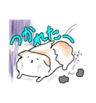 まめポメきなこ（個別スタンプ：15）