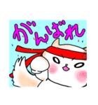 まめポメきなこ（個別スタンプ：24）