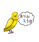 黄色いインコのスタンプ（個別スタンプ：5）