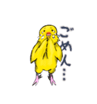 黄色いインコのスタンプ（個別スタンプ：6）