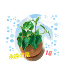 よっちゃん幸運の多肉植物(花言葉)（個別スタンプ：5）