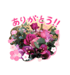 わぉわぉスタンプ（個別スタンプ：9）