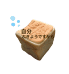 わぉわぉスタンプ（個別スタンプ：13）