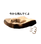 みっきのスタンプ（個別スタンプ：3）
