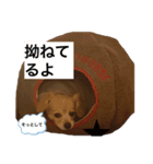 みっきのスタンプ（個別スタンプ：4）