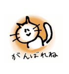 三条弁ねこ（個別スタンプ：13）