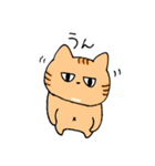 よく喋るねこ（個別スタンプ：1）