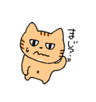 よく喋るねこ（個別スタンプ：3）