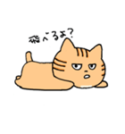 よく喋るねこ（個別スタンプ：35）