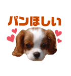 家族ラインで使えるくるみちゃん（個別スタンプ：1）