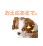 家族ラインで使えるくるみちゃん（個別スタンプ：5）