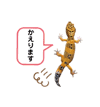 レ オ パ（個別スタンプ：3）