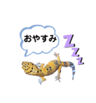 レ オ パ（個別スタンプ：8）