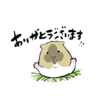 モルモットスタンプ(日常)（個別スタンプ：3）