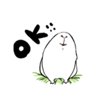 モルモットスタンプ(日常)（個別スタンプ：10）