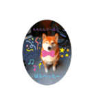 ももたんプリティ（個別スタンプ：1）