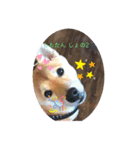 ももたんプリティ（個別スタンプ：8）