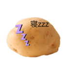 POTATOスタンプ第2弾（個別スタンプ：4）