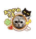 ココ2020（個別スタンプ：3）
