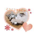 ゆずとそら（個別スタンプ：6）