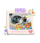 ゆずとそら（個別スタンプ：8）