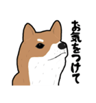 お仕事いっぬ（個別スタンプ：2）