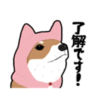 お仕事いっぬ（個別スタンプ：3）