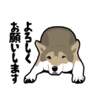 お仕事いっぬ（個別スタンプ：6）