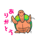【りくガメ】日常で使えるスタンプ（個別スタンプ：25）