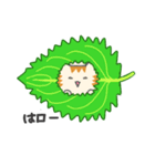 カナリア猫の果物・野菜シリーズ（個別スタンプ：1）