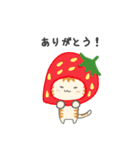カナリア猫の果物・野菜シリーズ（個別スタンプ：5）