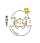 カナリア猫の果物・野菜シリーズ（個別スタンプ：20）
